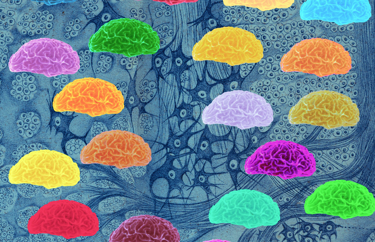Alzheimer, el desafío más importante de las próximas dos décadas