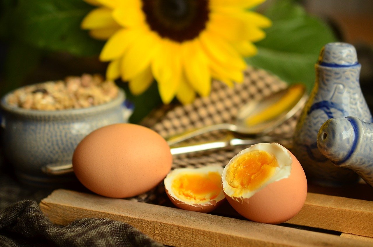Las proteínas, un elemento clave para mejorar nuestra calidad de vida