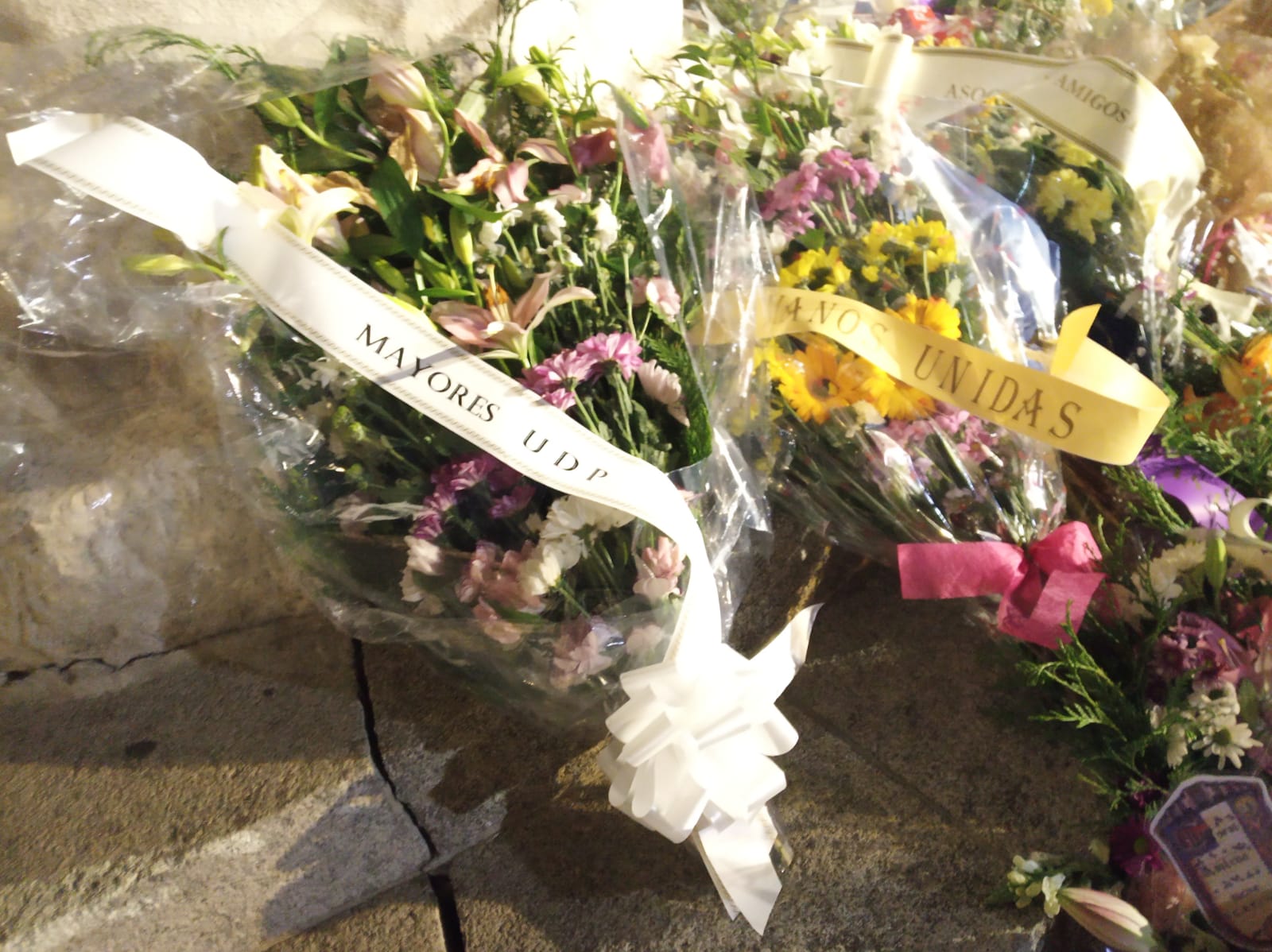 Ofrenda floral udp avíla