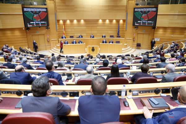 Se presenta una moción en el Senado sobre la creación de una Convención sobre los Derechos de las Personas Mayores