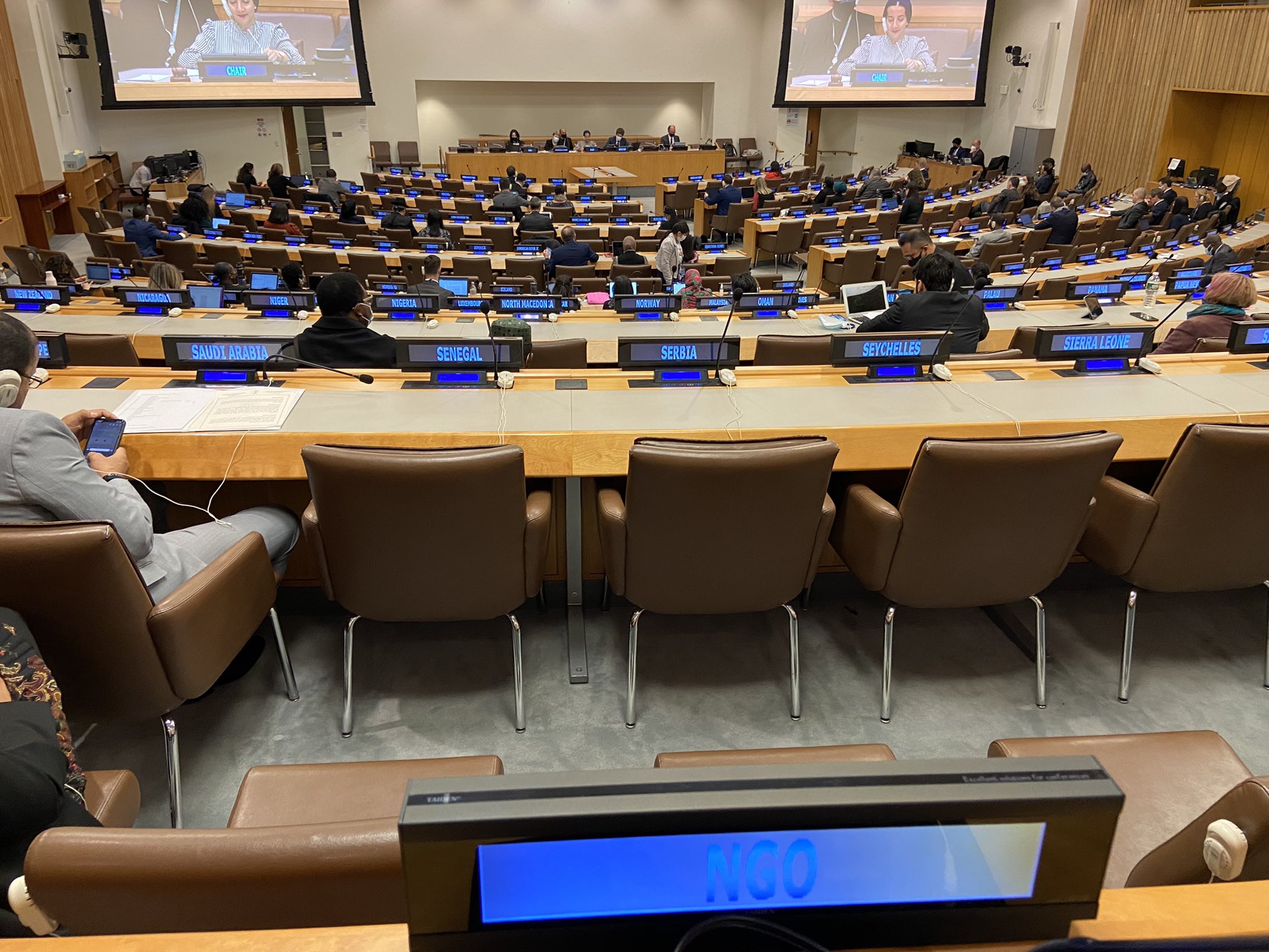 12ª sesión del Grupo de Trabajo de Composición Abierta sobre Envejecimiento de Naciones Unidas